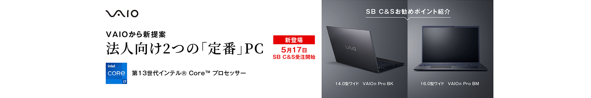 VAIO