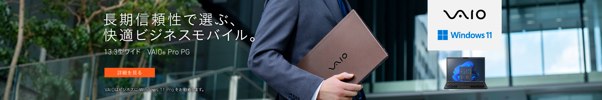 VAIO
