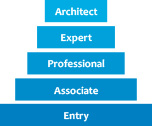「Architect」「Expert」「Professional」「Associate」「Entry」