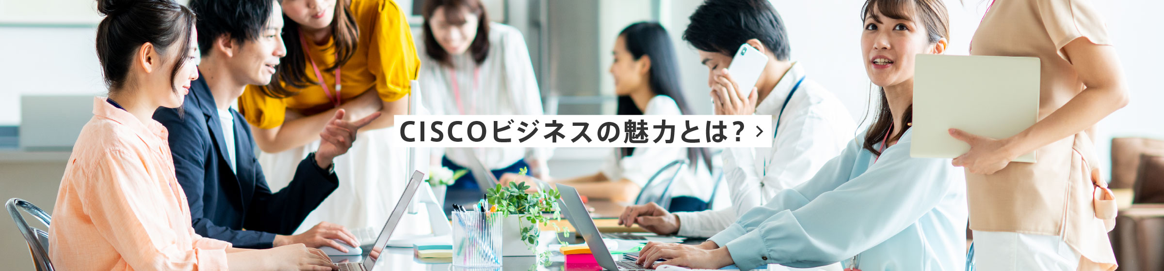 CISCOビジネスの魅力とは？