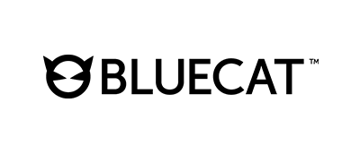 BlueCat Networks