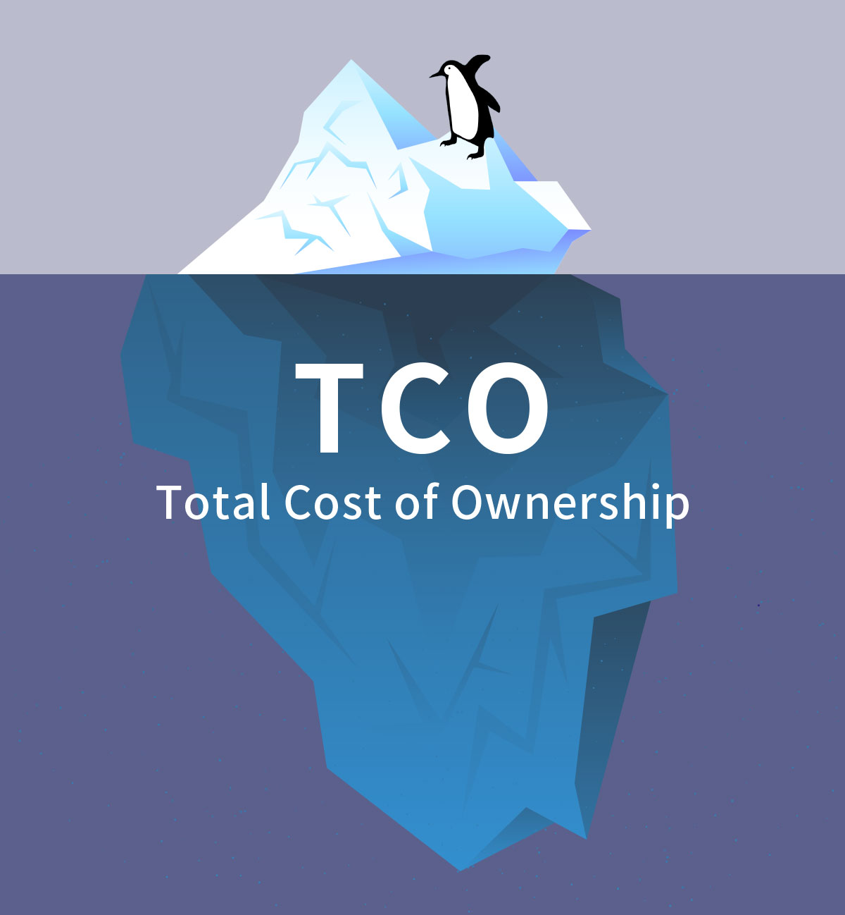 TCO Total Cost of Ownership